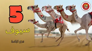 خمسة سيوف في موسم واحد   كيف سيطرت هجن الرئاسة  دندنها
