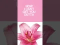 Download Lagu ~we dont talk anymore ♡~ 🐰🐣🌸🌷🩷✨️