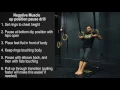 Download Lagu Negative Muscle up position pause drill