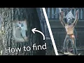 Demon s Souls Remake How to find the original Cat Ring Icon in World 1 - 3