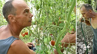 Dominko ima deset izvora, njegove koze imaju vode u izobilju