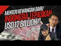 Download Lagu MENTERI KEWANGAN INDONESIA LEPASKAN USD 12 BILLION!