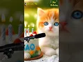 Lagu BAO HAPPY BIRTHDAY | HAPPY BIRTHDAY SONG WITH NAMES | Adorable Cute Cat 😺 #cat #cute #happybirthday
