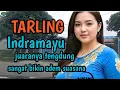 Download Lagu TARLING TENGDUNG INDRAMAYU_JUARANYA BASSNYA EMPUK BIKIN ADEM @toyobringin3238