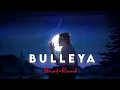 Bulleya - ( Slowed+Reverb ) | Sultan | Hindi lo-fi Vibes #lofi #lofimusic #lofisong #slowed #reverb
