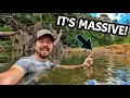 Download Lagu We Never Saw THIS Coming... INCREDIBLE Ancient Artifact Discovered in a Tennessee Creek!