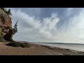 Hopewell Rocks - North Side