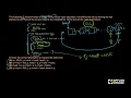 Solved Problem 2 Singly Linked List Appliedcourse