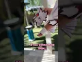 Download Lagu ✨Mini Dragon puppet ✨#How to make a dragon puppet !!! :3