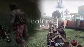 nature ft Levidia