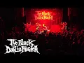 Alan Cassidy  - "Statutory Ape" - The Black Dahlia Murder  - Summit, Denver, CO - 9/11/2021