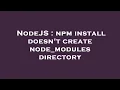NodeJS npm install doesn t create node - modules directory