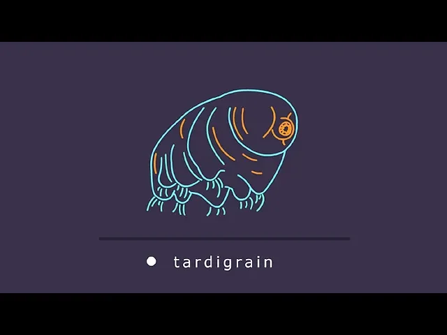 Tardigrain: The Missing Manual