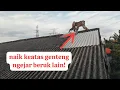 Download Lagu beruk bastian lepas! marah karena teritori nya diganggu beruk lain