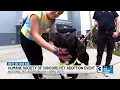 Humane society of Concord holds pet adoption event