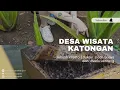 Download Lagu DESA WISATA KATONGAN
