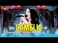 Lagu CAMELIA - DIANDRA AYU || ERWEKA MUSIC || EDC MULTIMEDIA || PM AUDIO