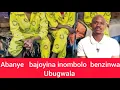 Download Lagu Inombolo$ Ejele ayikuvikeli bayakugwaza nasenombolweni  Ep180