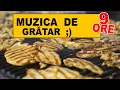 Download Lagu MUZICA DE GRATAR - 9 ORE de muzica LIVE #gratar #petrecere #lautareasca #petrecerelaromani #populara