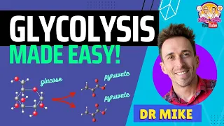 Glycolysis Made Easy