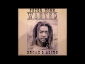 PETER TOSH (Wanted Dread & Alive - 1981) 01- Coming In Hot