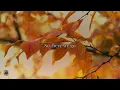 STELLA LEFTY - Boston (Lyrics)