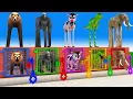 Download Lagu Long Slide Game With Elephant Gorilla Buffalo Hippopotamus Tiger 3d Animal Game Funny 3d Animals