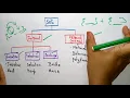 Sorting Methods DS Data Structures Lec-52 Bhanu Priya
