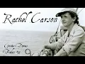 Channel