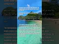 Download Lagu apa akibat jika mengolok-olok nabi?