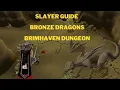 Slayer Guide Bronze Dragons Location Brimhaven Dungeon osrs