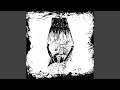 Download Lagu Aromatic Scent Of Instant Death