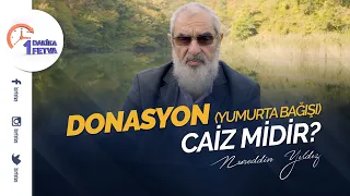 Donasyon (yumurta bağışı) caiz midir?