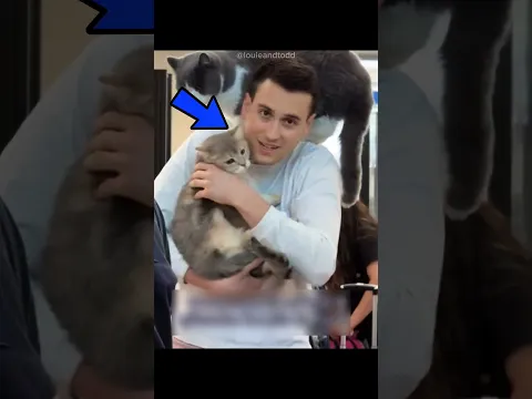 He Proved His Cats Were Different! #cat #catvideos #catshorts #catlife