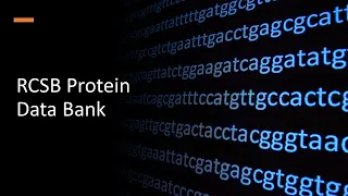 RCSB Protein Data Bank
