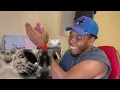 Kehlani - Back and Forth (feat. Missy Elliott) [Official Audio] [Reaction]