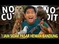 1 JAM SIDAK PASAR HEWAN SUKAHAJI BANDUNG TERLENGKAP 2025! NO CUT NO EDIT!