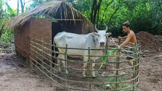 Download Build Hut for cow - House cow MP3