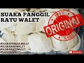 Download Lagu Suara Panggil Ratu Walet Asli (SUARA PANGGIL WALET)