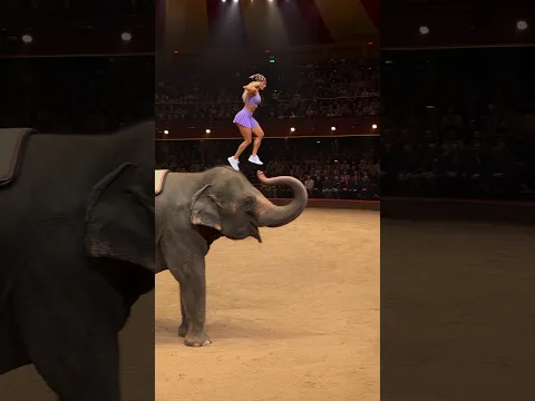 Oh My God😰Wait for end😳 She Landed On An Elephant🐘 Real Or AI?