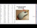 Excel 2010 Tutorial For Beginners - Tables Pt 1 Create Navigation