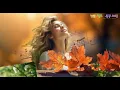 Download Lagu Pan Romance, 팬플룻 로맨스 ( 로망스 ) /  Edward Simoni, 에드워드 시모니 / Pan Flute 연주곡