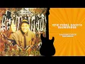 Opa! Peraí, Caceta - Raimundos Guitarra backingtrack (com vocal)