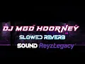 Dj Mgd Hoorney (Slowed+Reverb)🎧