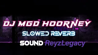 Download Dj Mgd Hoorney (Slowed+Reverb)🎧 MP3