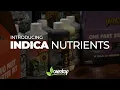 Download Lagu Introducing - Indica Nutrients