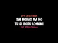 Download Lagu Lirik Lagu Sai Horas Ma Ho Tu Si Boru Lomomi - Duo Naimarata