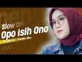 Download Lagu Opo Iseh Ono ( DJ Topeng Remix )