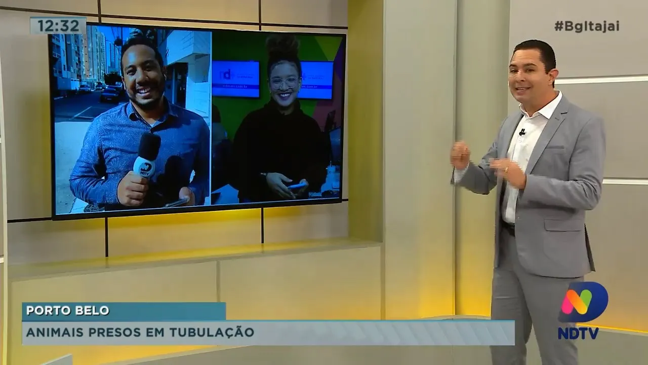 Animais preso em tubulação em Porto Belo, e incêndio no domingo em Itajaí