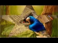 "LA VIDA ES UN VALS " - Diego Torres -